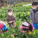 고골농장 이미지