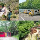 성수산 왕의숲 국민여가캠핑장 이미지