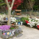 꾸지나무골 행복한 하우스 이미지