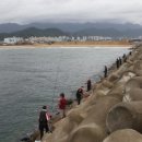 창일민박 이미지