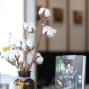 목화한식당 이미지