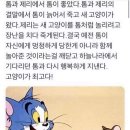 톰과 제리 이미지