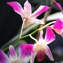 수자원공사입구 이미지