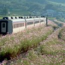 북천주유소 이미지