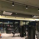 짐오브선셋 이미지