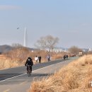 수내 인라인스케이트장 네이버블로그