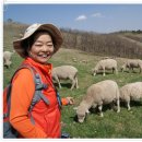 부부목장 이미지