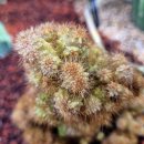 종명목장 이미지