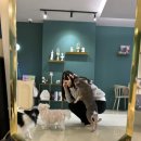 히포파통 이미지