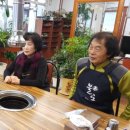 산천초목 이미지