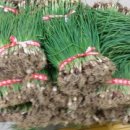 노은동경로당 이미지