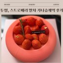 케이크라 | 투썸 케이크 스트로베리 말차 가나슈 먹어본 솔직후기, 재출시 이유 인정 | 칼로리, 구매팁