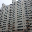 경기도 수원시 팔달구 권광로317번길 이미지