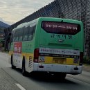 주식회사금아여행 이미지