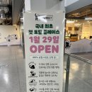 창동, 넓고 쾌적한 애견카페 “ 포레스트 ” [솔직 후기]