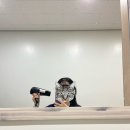 여주-0801 네이버블로그
