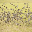 풍년밥상 이미지