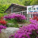 성주 산그늘펜션 네이버블로그