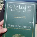 삶 | 인간명품 책 후기 삶의 태도와 품격에 대하여