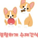 멍청하개 이미지