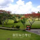 니어컨트리 이미지