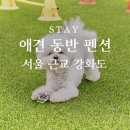 멍블리하우스 | [강화도] 애견 동반 펜션 추천 BEST 4, 강아지랑 가기 딱 좋은 펜션 리스트, 최저가 링크까지