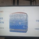 퇴행성 관절염 환자 수 이미지