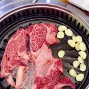 토성정육점