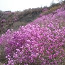 자은초등학교 이미지