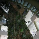 소풍(부천터미널) 이미지