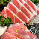 진참치&진튜나강릉