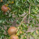 낙서면사무소 이미지