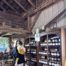 진열농장 이미지