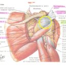 휴퍼스널트레이닝 이미지