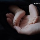 통영자모산후조리원 네이버블로그