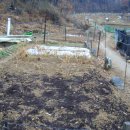 꽃순이농장 이미지