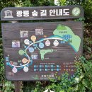 남양주시 봉선사 이미지