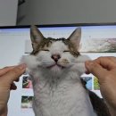 적노동 | 자유롭고 평화로운 시대가 없다