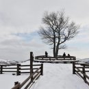 대둔산목장 이미지