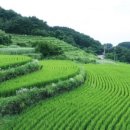 사방외갓집마을 이미지