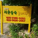 진동 계곡 민박 이미지