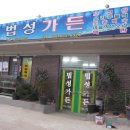 대마막걸리