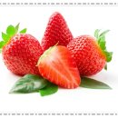 종로한의원 이미지