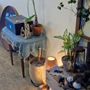 포크포크 이미지