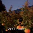 돌랑채