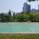 손바닥공원 농구장 이미지