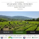 돌봄앤아카데미 네이버블로그