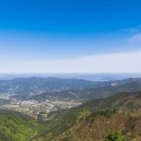 숲속의하얀집 이미지