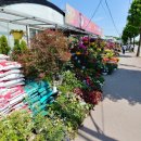 이동꽃마을 이미지