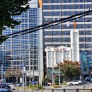 인화반점 이미지